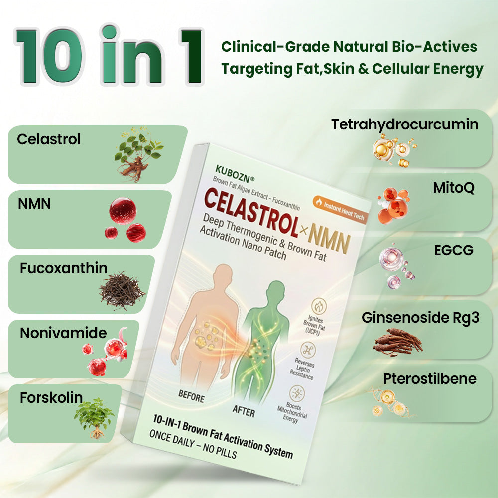 Official Store | 🧬🧬 KUBOZN® Celastrol · NMN × Fucoxanthin Brown Fat Activation Microneedle Patch （offer）