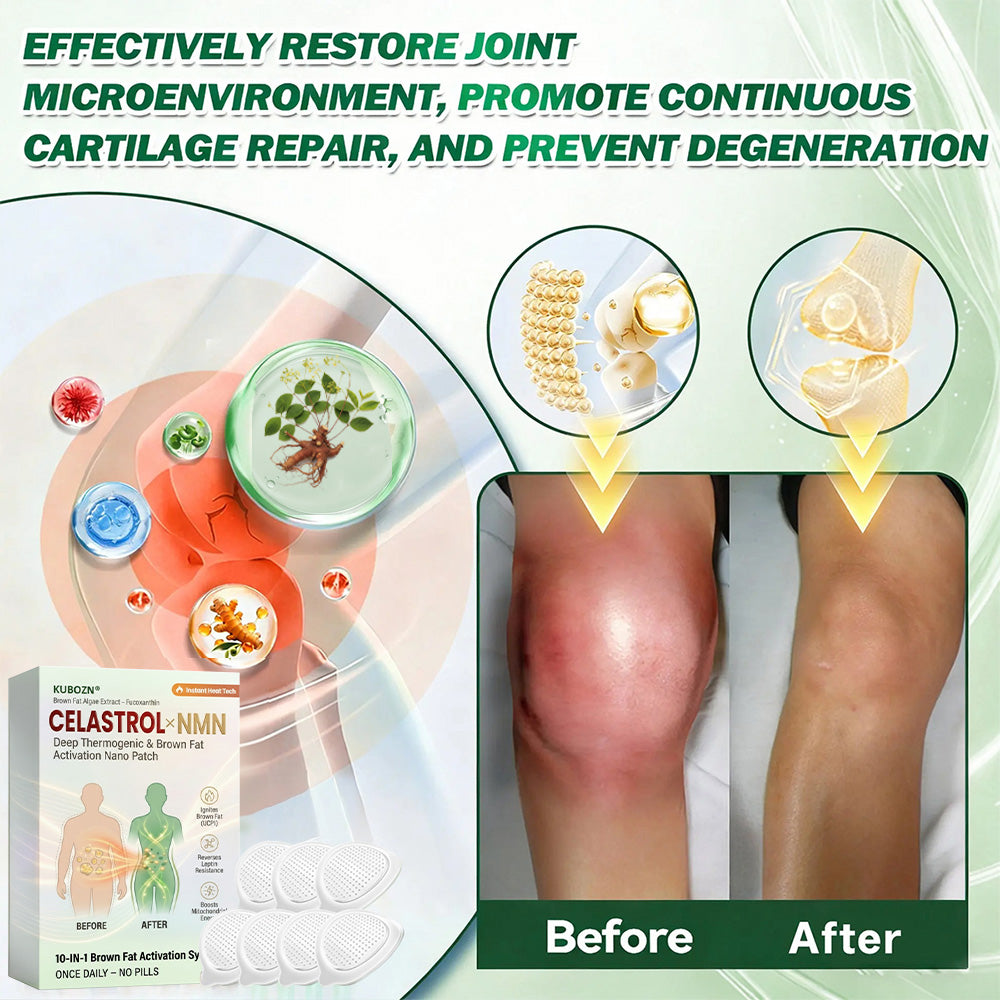 Official Store | 🧬🧬 KUBOZN® Celastrol · NMN × Fucoxanthin Brown Fat Activation Microneedle Patch （offer）