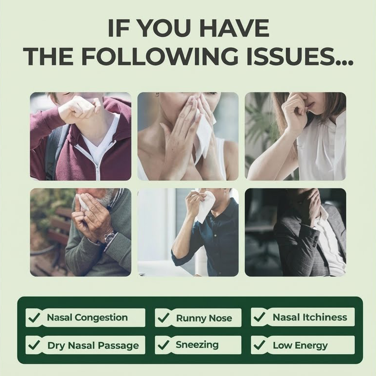 ✅ Healrize® BioActive Herbal Sinus Mist - Sinus & Hay Fever Relief Spray (Non-Drowsy)