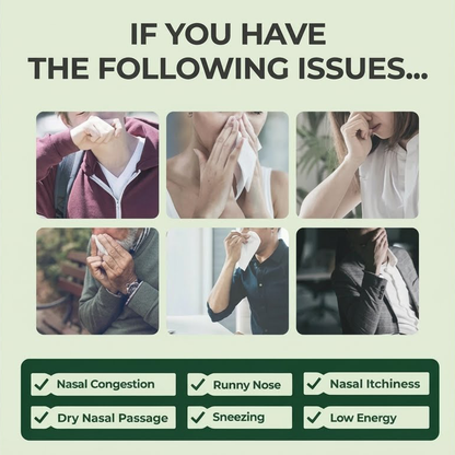 ✅ Healrize® BioActive Herbal Sinus Mist - Sinus & Hay Fever Relief Spray (Non-Drowsy)